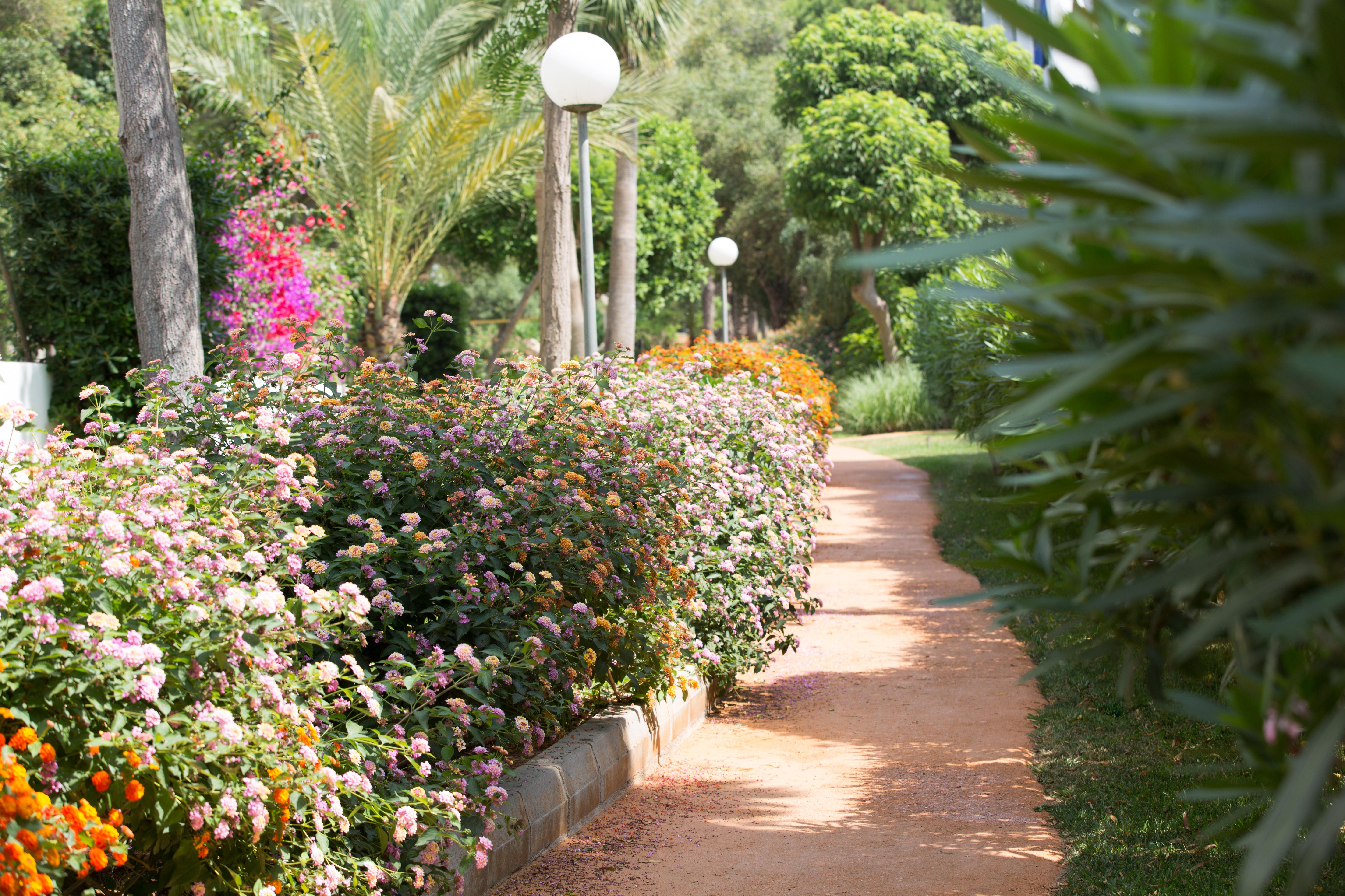 Gavimar Cala Gran And Hotel Cala d'Or (Mallorca)